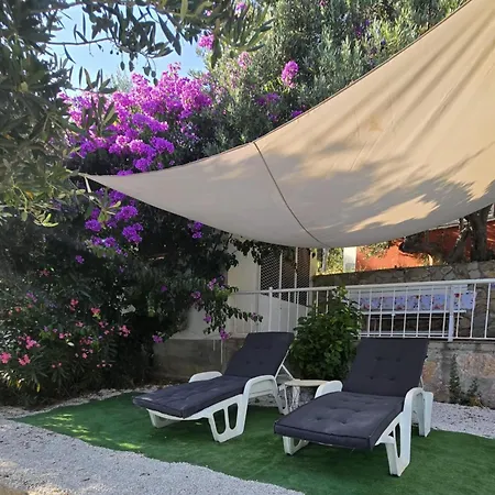 Panorama - Amazing Sea View, Newly Renovated *