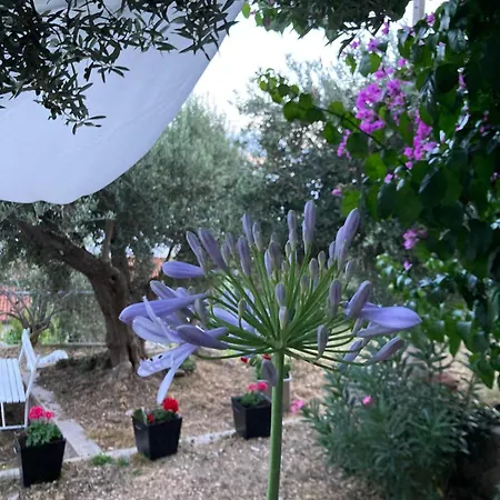 Апартаменты Panorama - Amazing Sea View, Newly Renovated Дуги-Рат