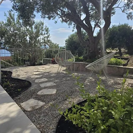 Panorama House With Private Garden & Jacuzzi Two Units 杜基拉特