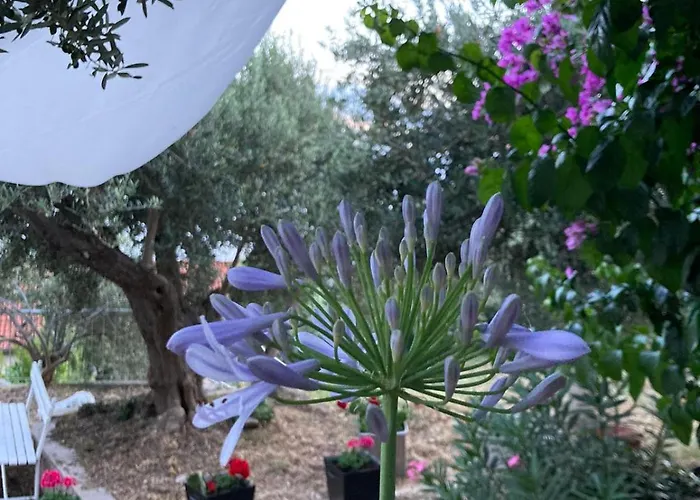 Lägenhet Panorama - Amazing Sea View, Newly Renovated Dugi Rat